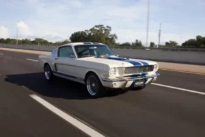 A man driving a 1966 Shelby GT 350/ GT 350H on a road