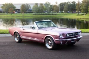 1966-revology-convertible-gt-passionpink-162-09