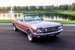 1966-revology-convertible-gt-passionpink-162-24