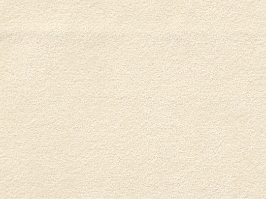 Revology-1969-Boss-429-7